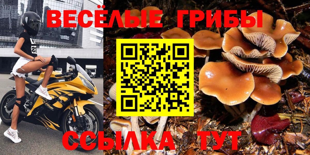Псилоцибиновые грибы Magic Shrooms  Вход с VPN  Галлюциногенные грибы Cubensis  Бердск 