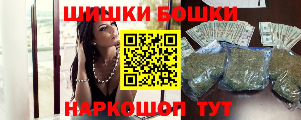 Каннабис индика Бердск